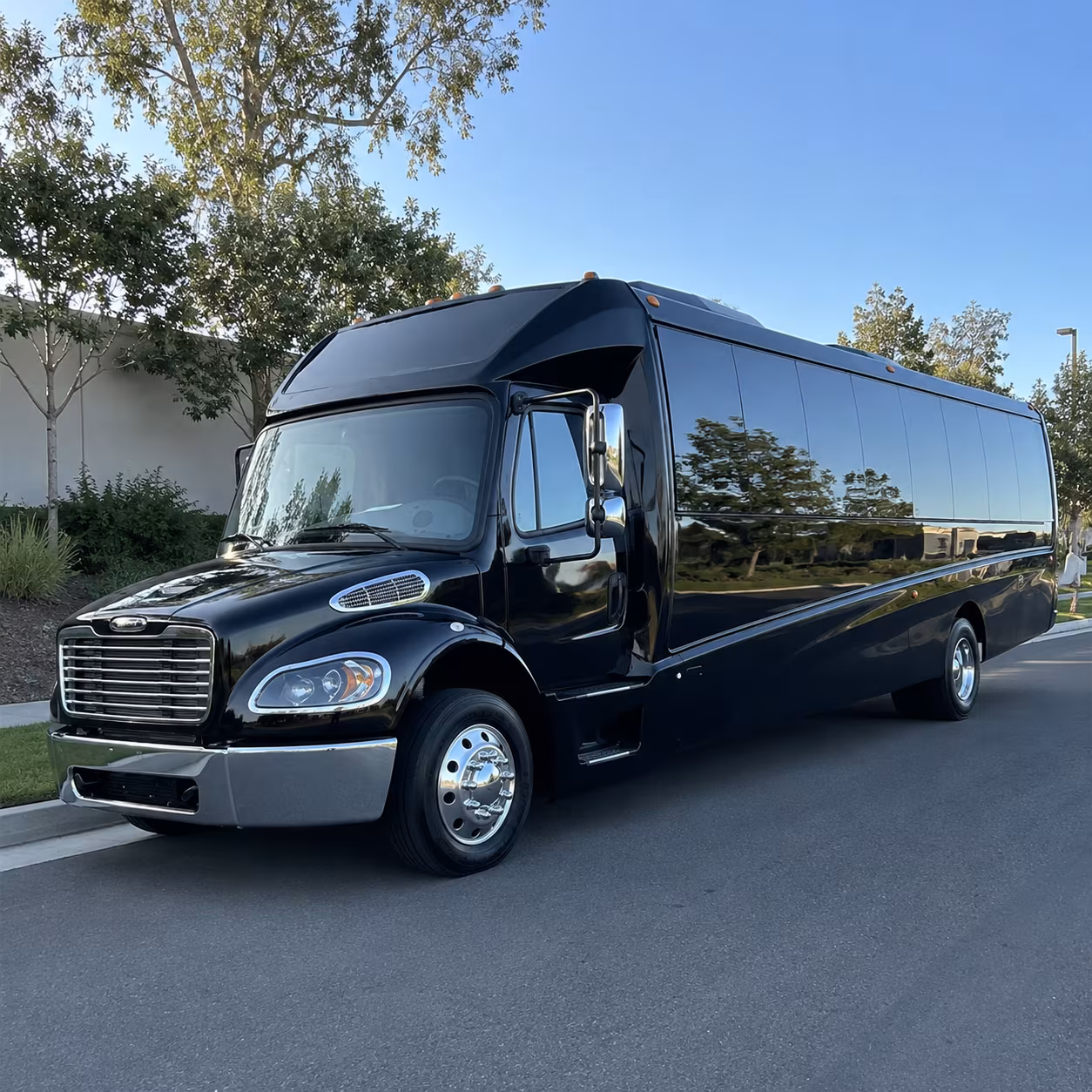 tuscaloosa 15 passenger minibus